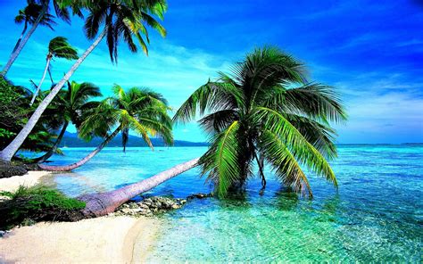 free beach background wallpaper|free screensavers beach scenes.